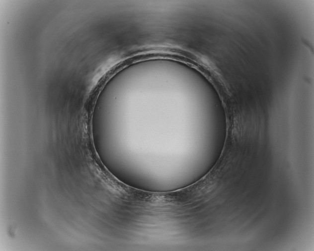 X0000101951360200808011036