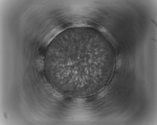 X0000101951361200808011036