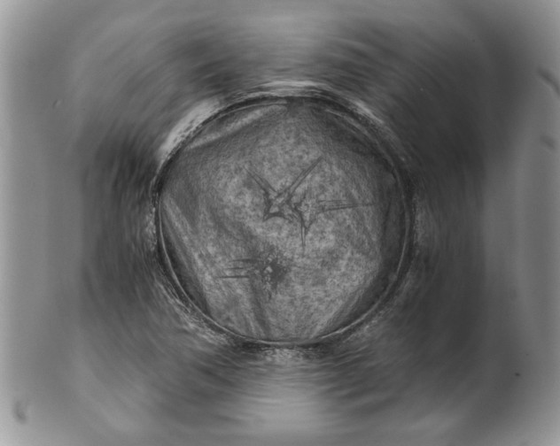 X0000101951362200808011036