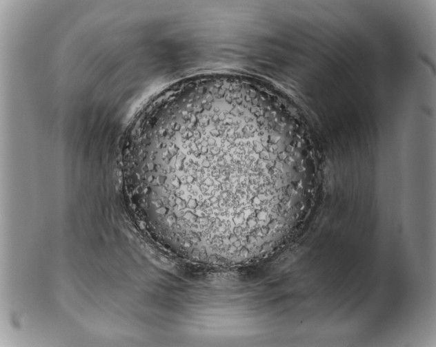 X0000101951363200808011036