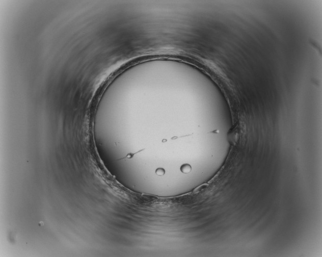 X0000101951364200808011036