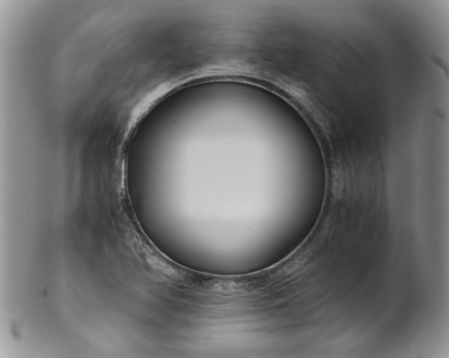 X0000101951366200808011036