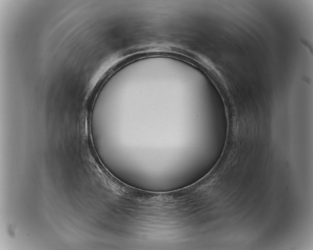 X0000101951368200808011036