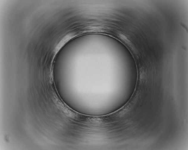 X0000101951370200808011036