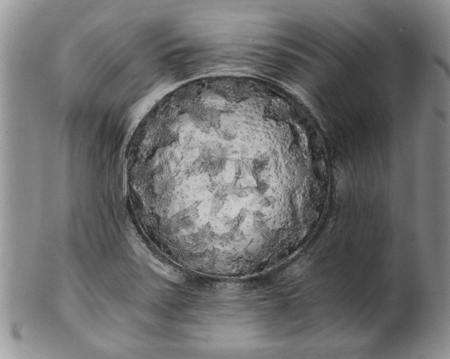 X0000101951371200808011036