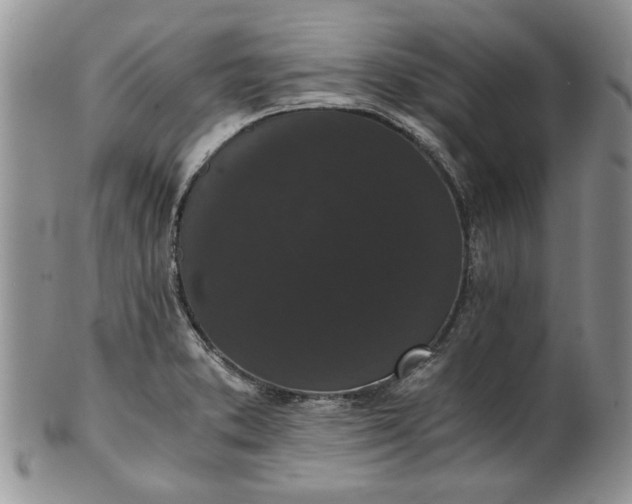 X0000101951373200808011036