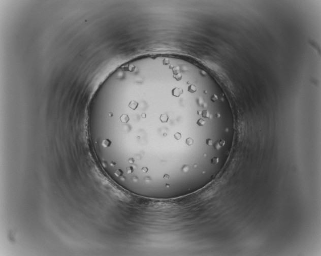 X0000101951374200808011036