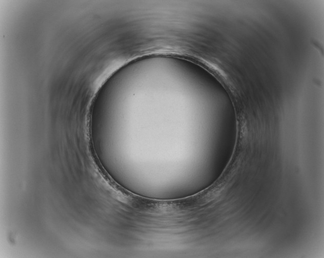 X0000101951375200808011036