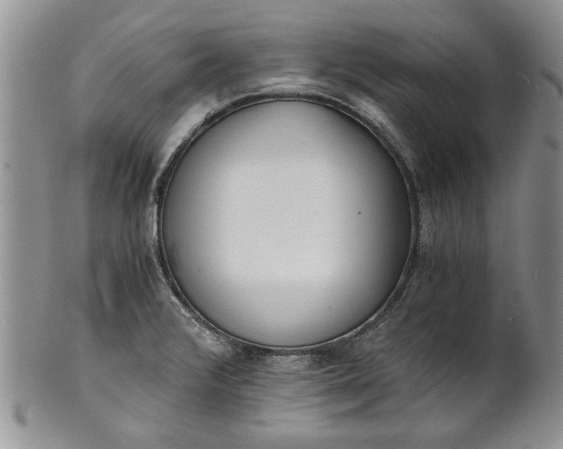 X0000101951376200808011036