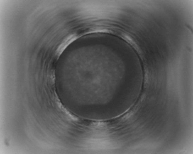 X0000101951377200808011036