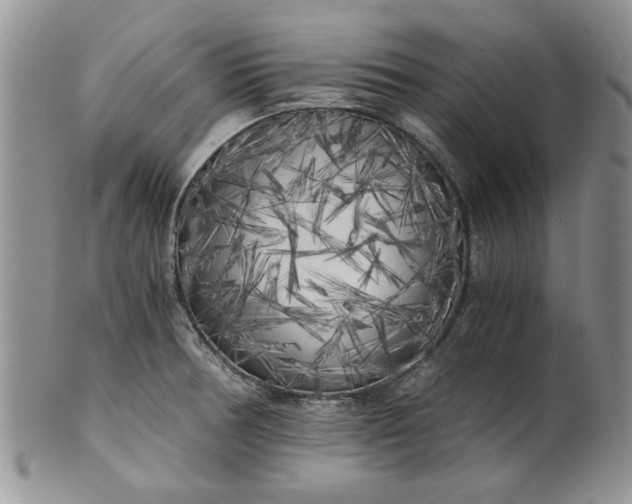 X0000101951378200808011036