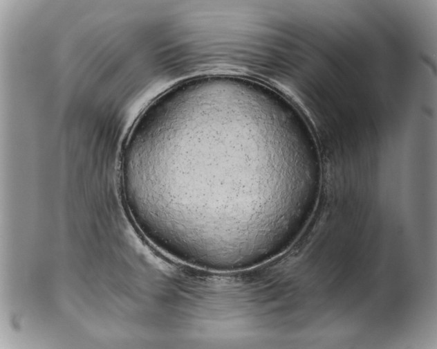 X0000101951379200808011036