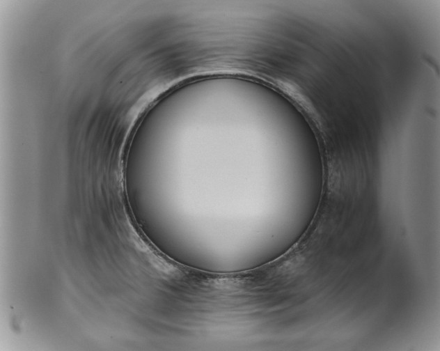 X0000101951380200808011036