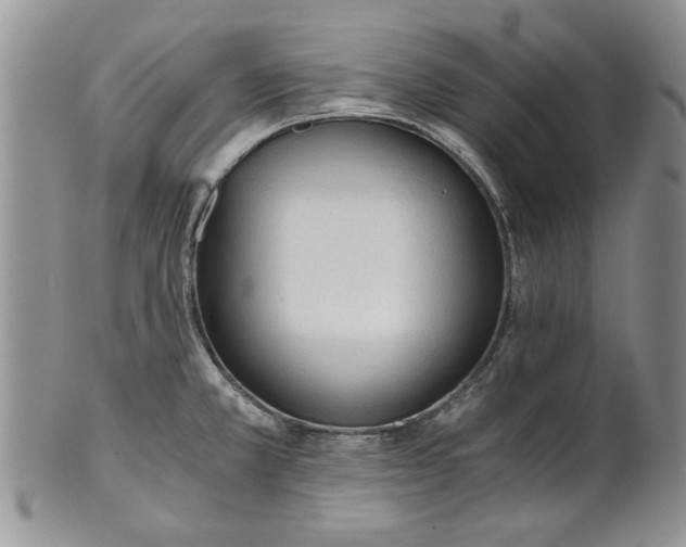 X0000101951381200808011036