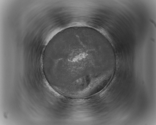 X0000101951382200808011036