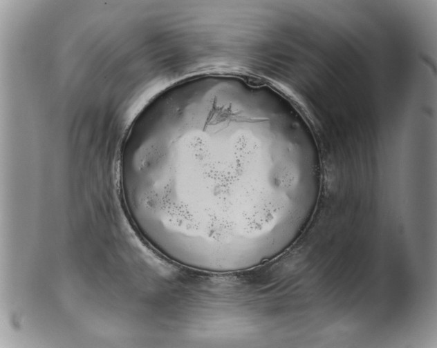 X0000101951383200808011036