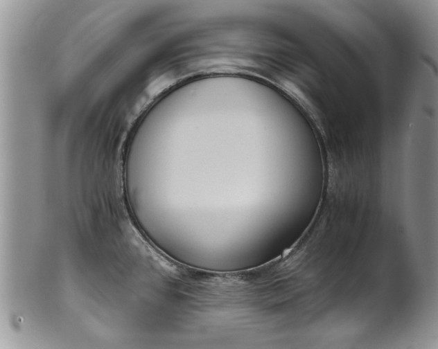 X0000101951384200808011036