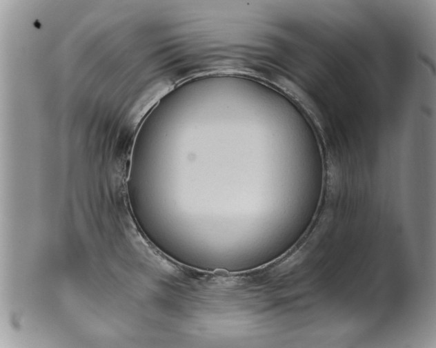 X0000101951385200808011036