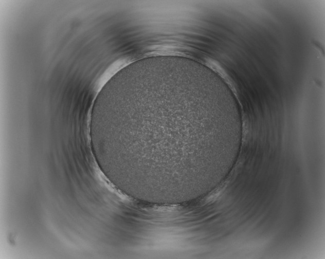 X0000101951386200808011036