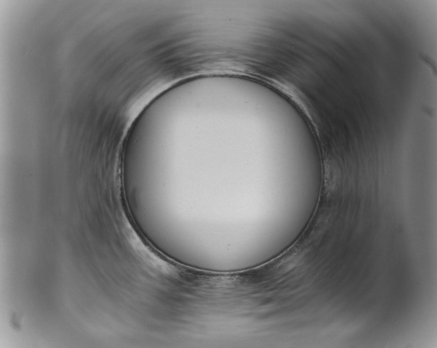 X0000101951387200808011036