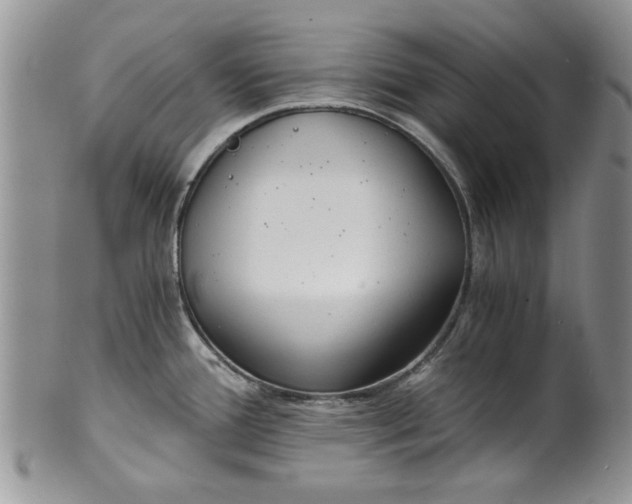 X0000101951388200808011036