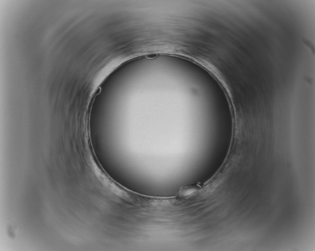 X0000101951389200808011036