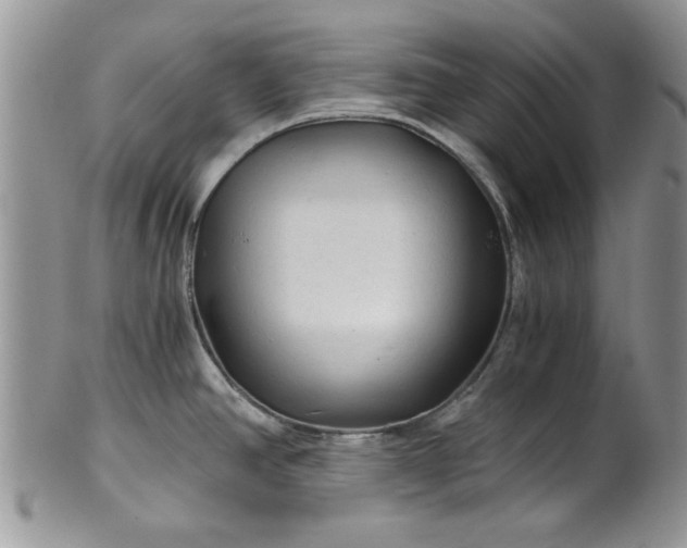 X0000101951390200808011036