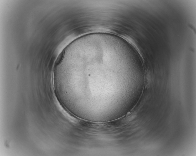 X0000101951391200808011036