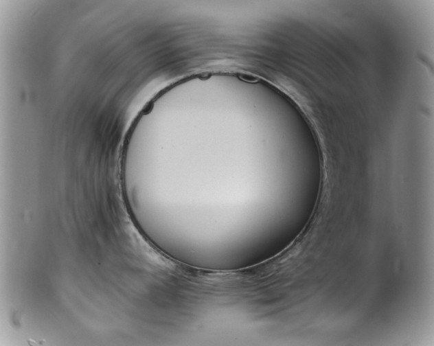 X0000101951392200808011036