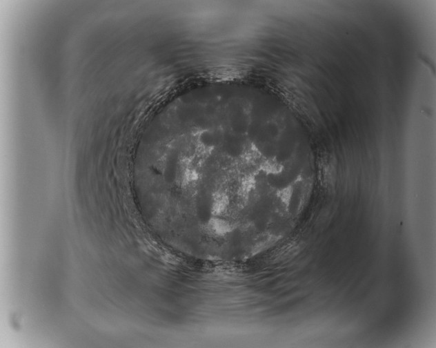 X0000101951393200808011035