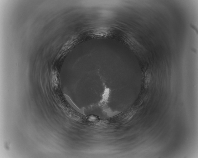 X0000101951394200808011035