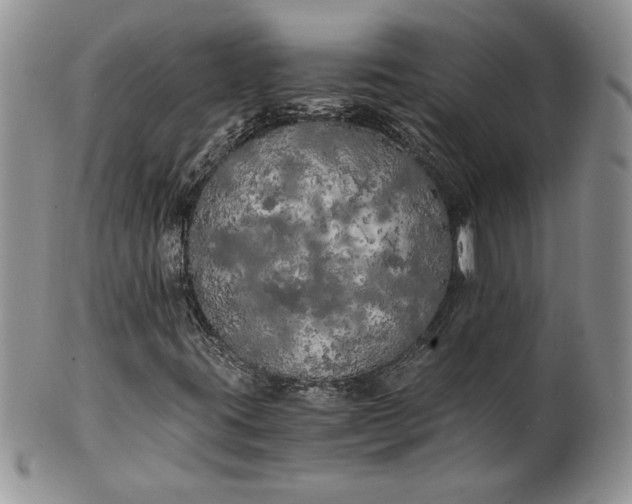 X0000101951395200808011035