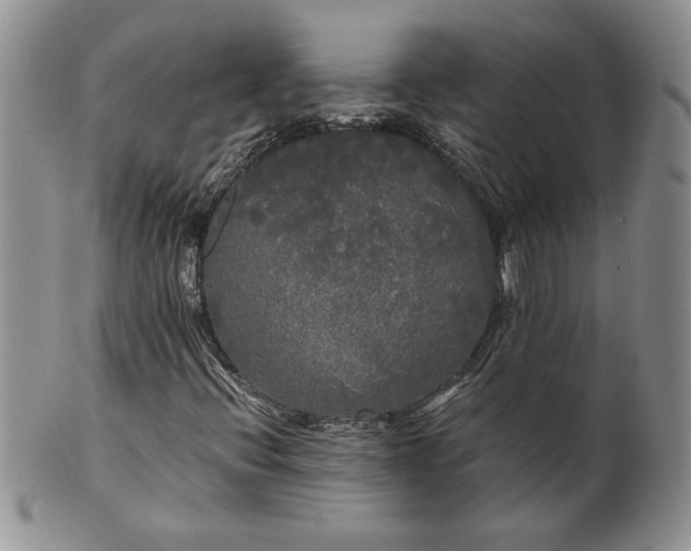 X0000101951396200808011035