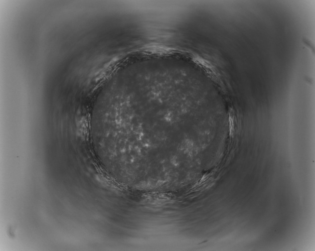 X0000101951397200808011035