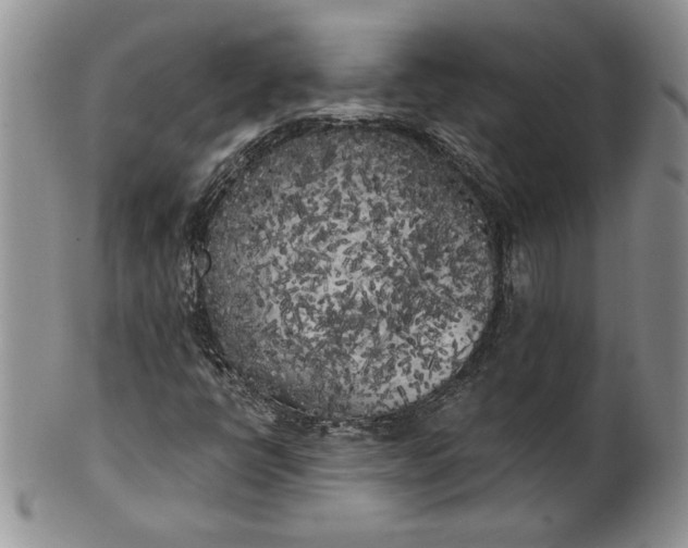 X0000101951398200808011035