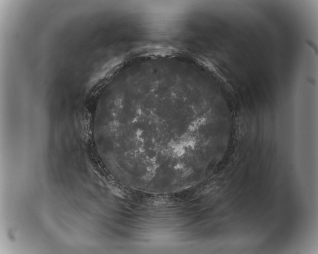 X0000101951399200808011035