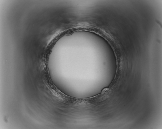 X0000101951400200808011035