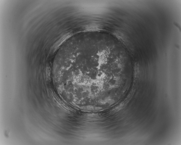 X0000101951401200808011035