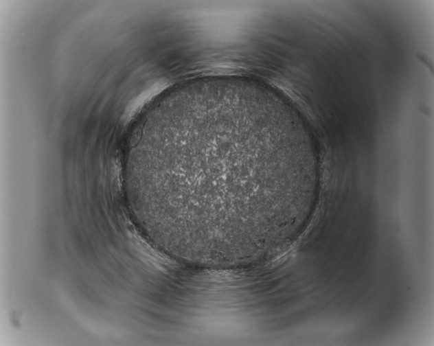 X0000101951402200808011035