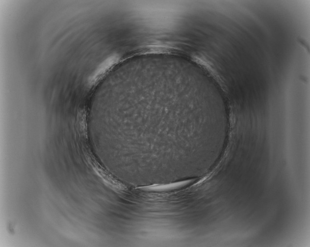 X0000101951403200808011035