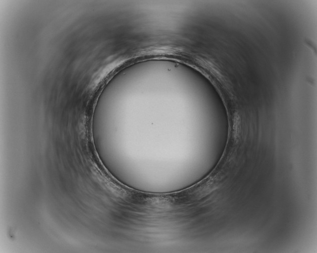 X0000101951404200808011035