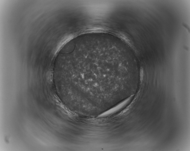 X0000101951405200808011035