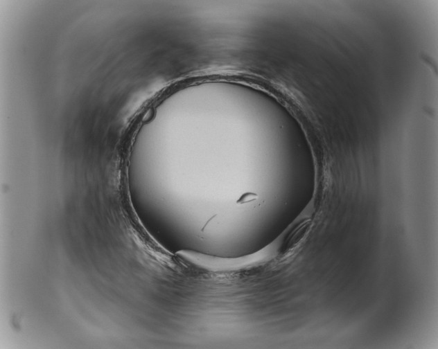 X0000101951406200808011035