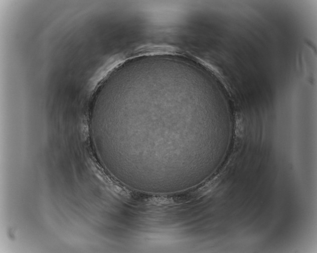 X0000101951407200808011035