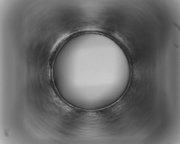 X0000101951408200808011035