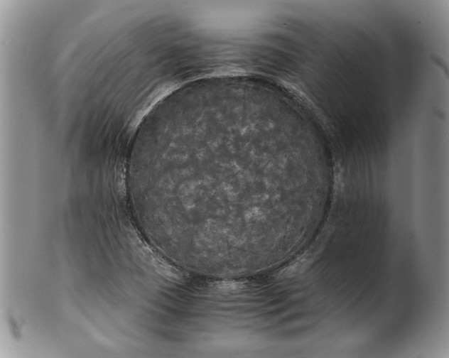 X0000101951409200808011035