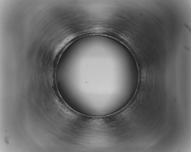 X0000101951410200808011035