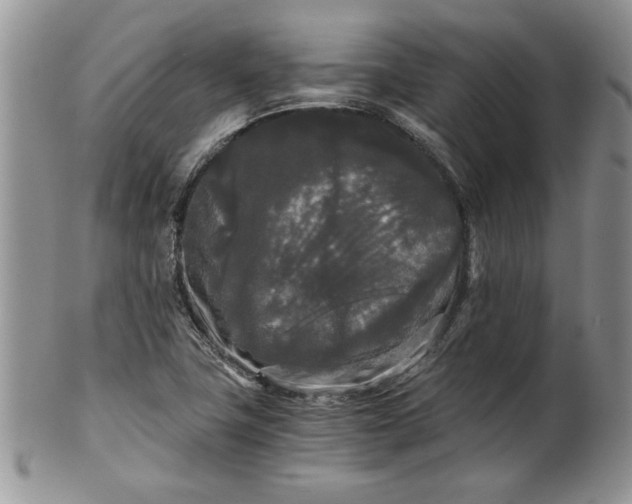 X0000101951411200808011035