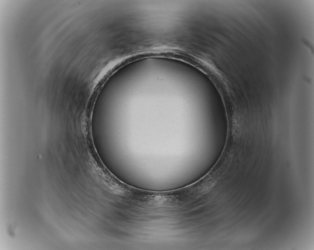 X0000101951412200808011035