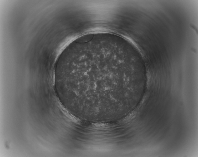 X0000101951413200808011035